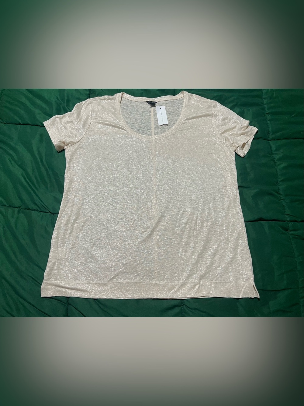 Ann Taylor 100% linen Metallic Champagne Short Sleeve Crewneck Top